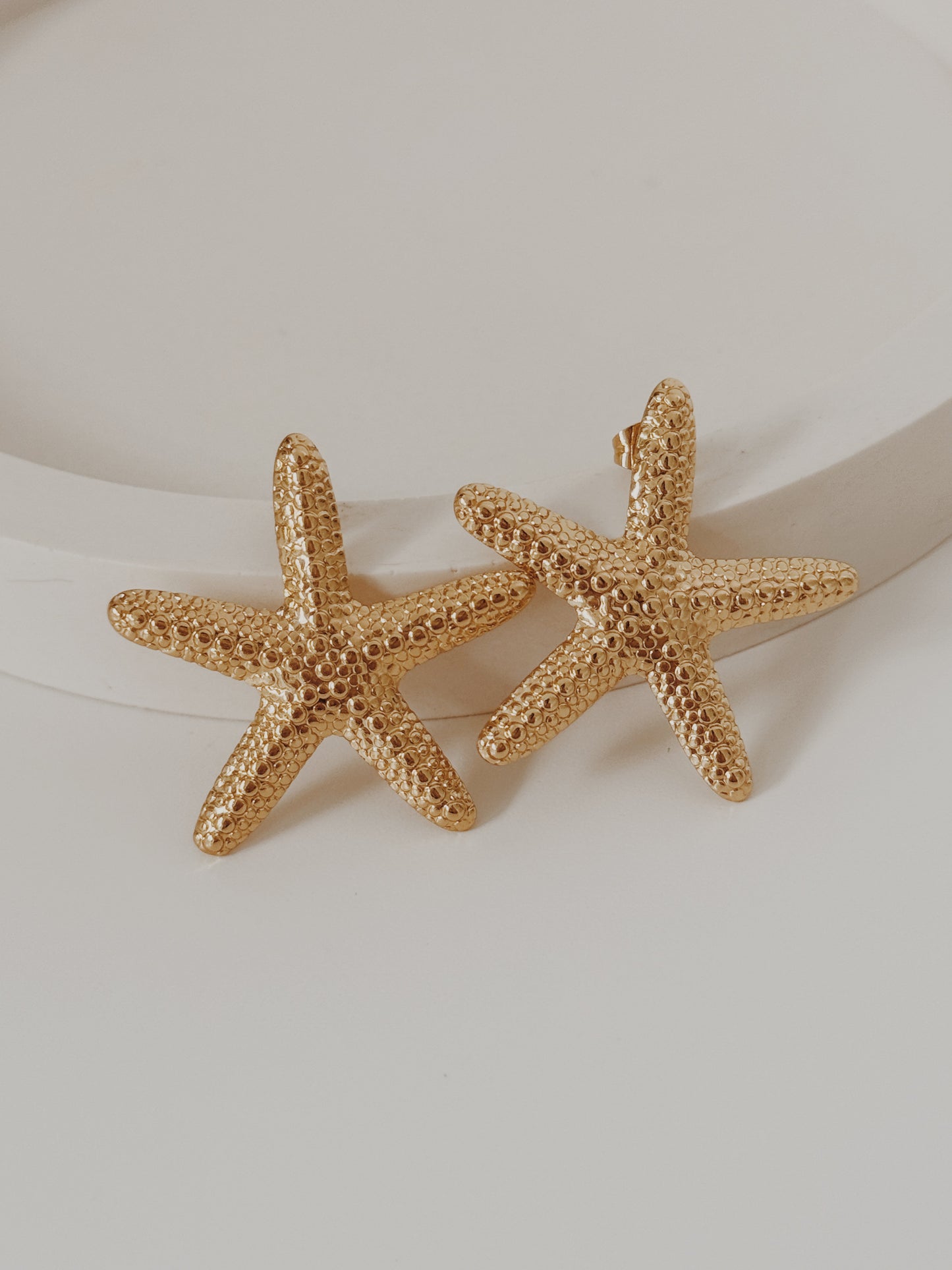 Brincos estrela do mar