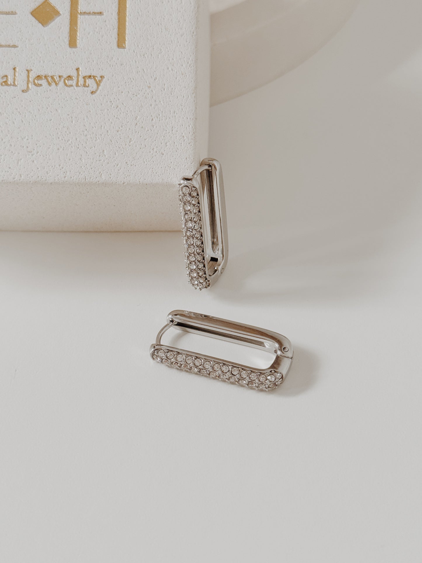 Brincos Trendy ( prateados )