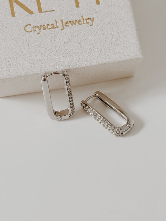 Brincos Trendy ( prateados )