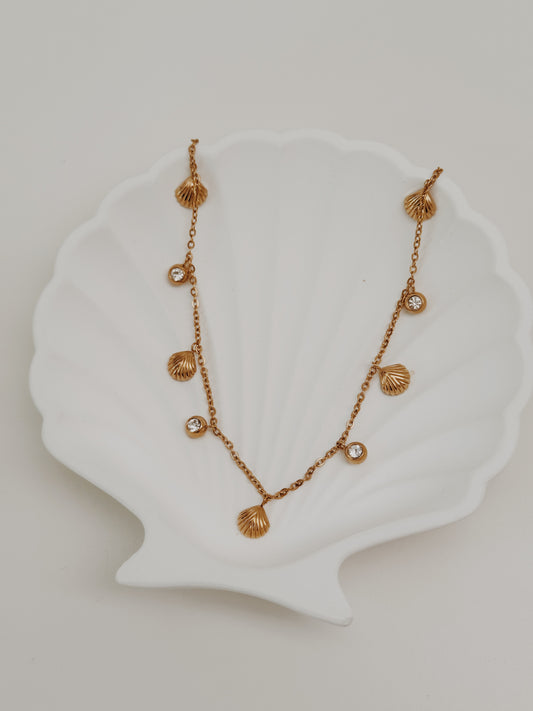 Colar Marea conchas