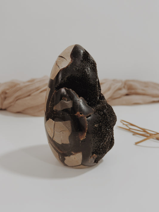 Ovo de Septarian Nodular