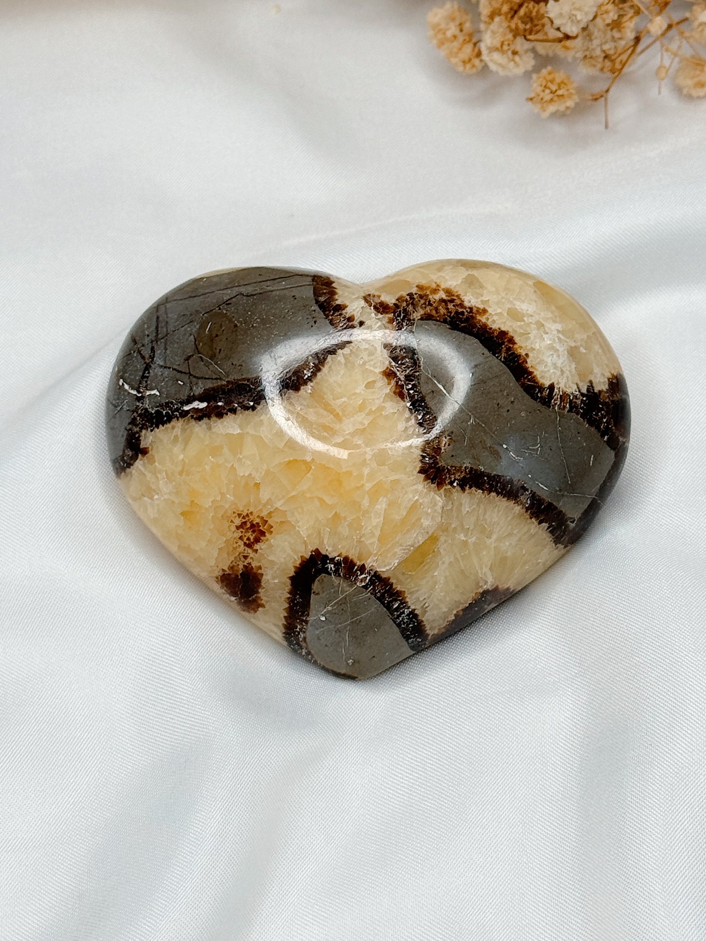 Coração de Septarian Nodular I