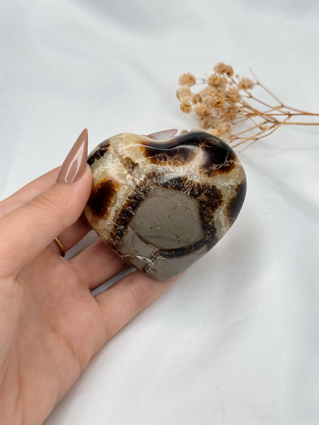 Coração Septarian Nodular II