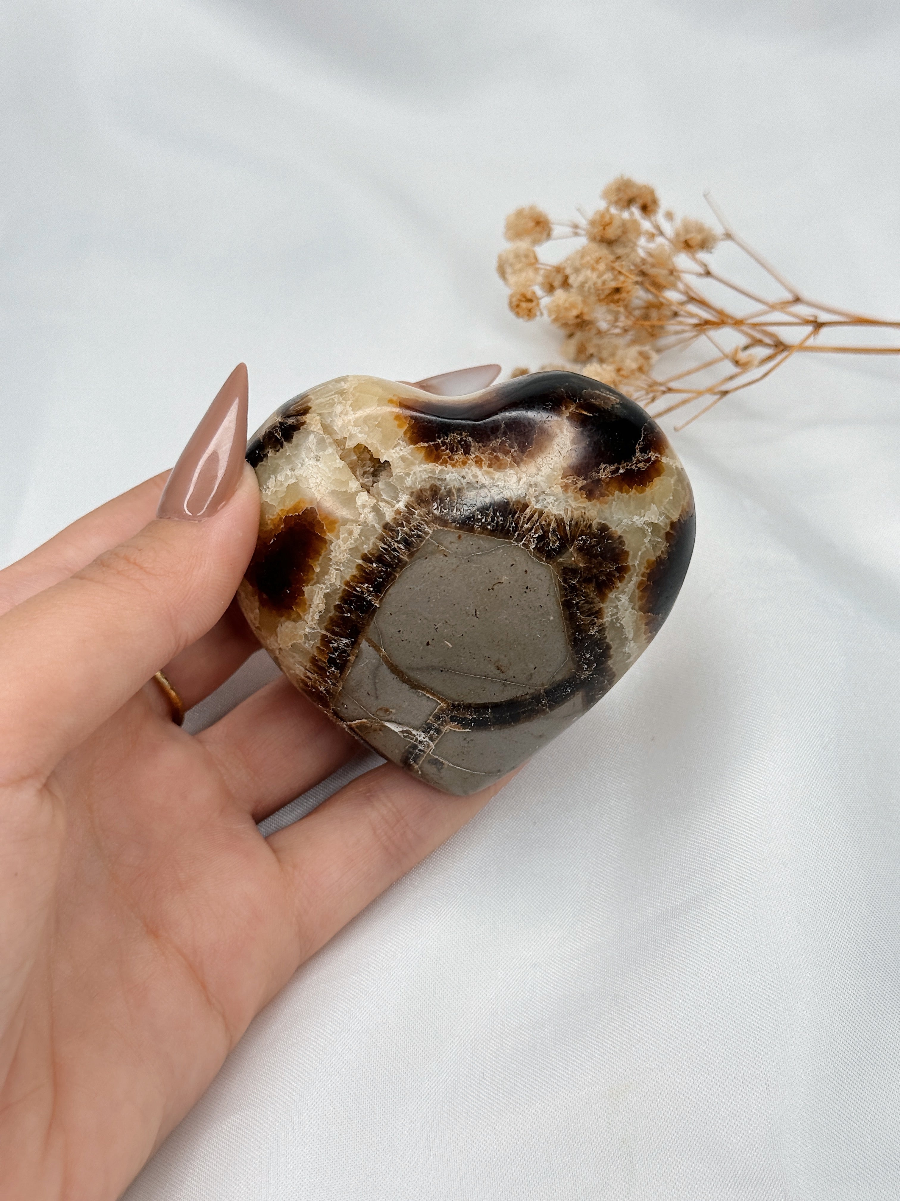 Coração Septarian Nodular II