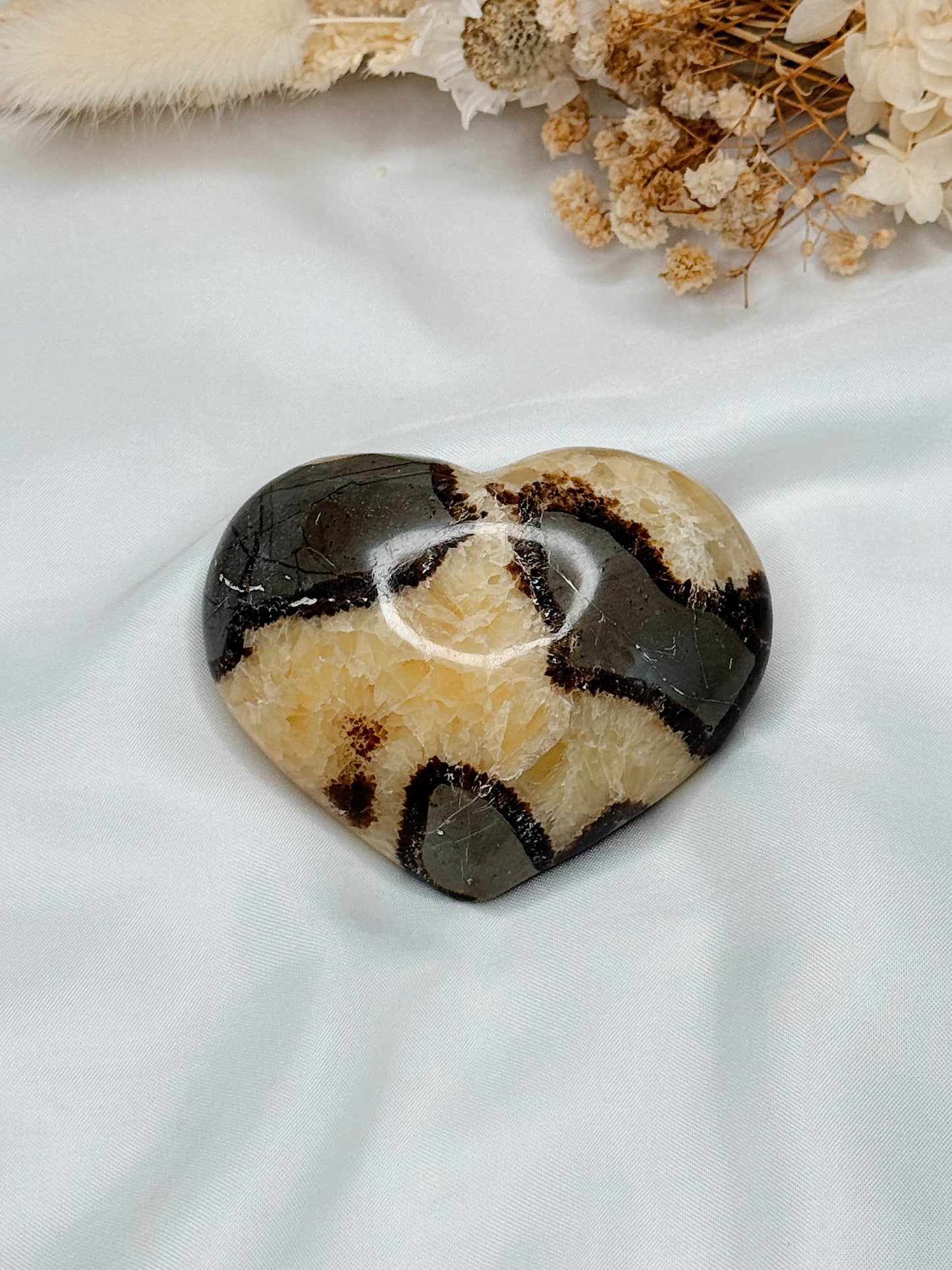 Coração de Septarian Nodular I