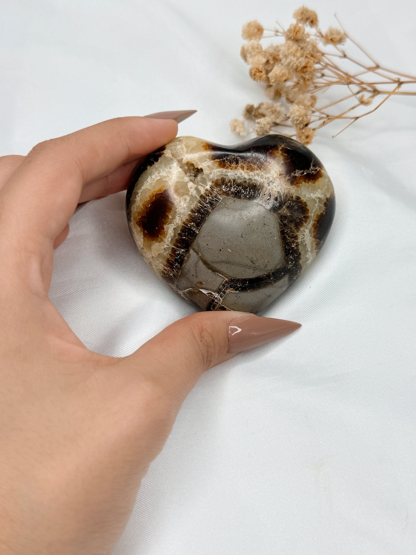 Coração Septarian Nodular II