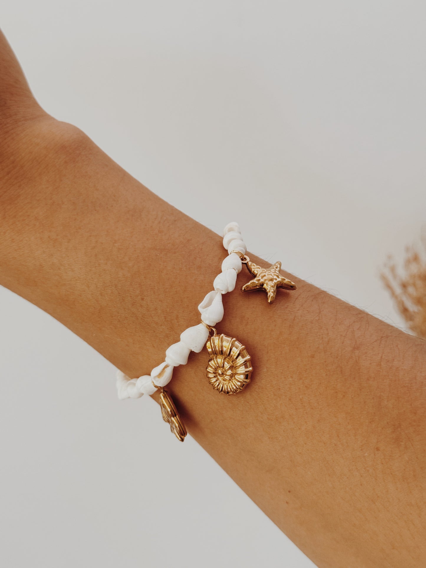 Pulseira búzios charm’s