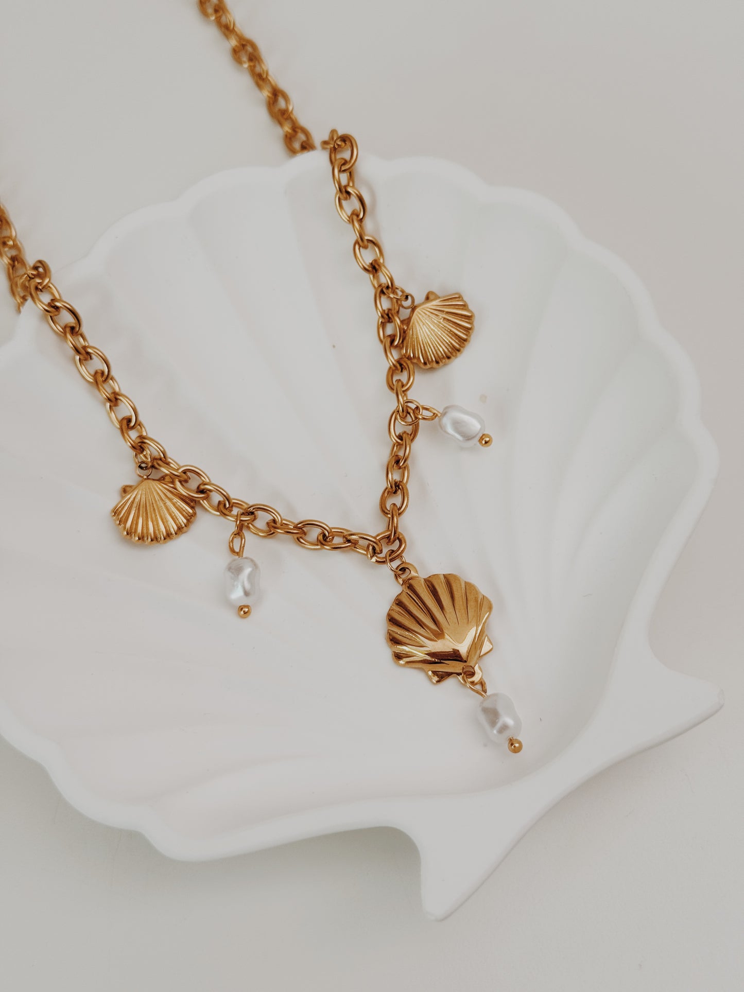 Colar Charm conchas
