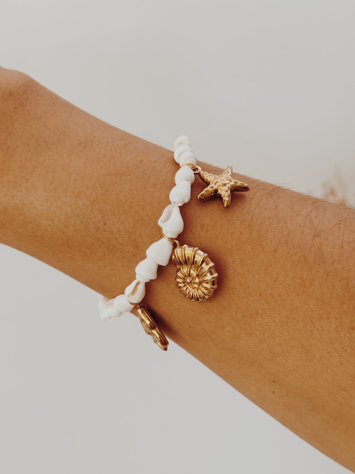 Pulseira búzios charm’s