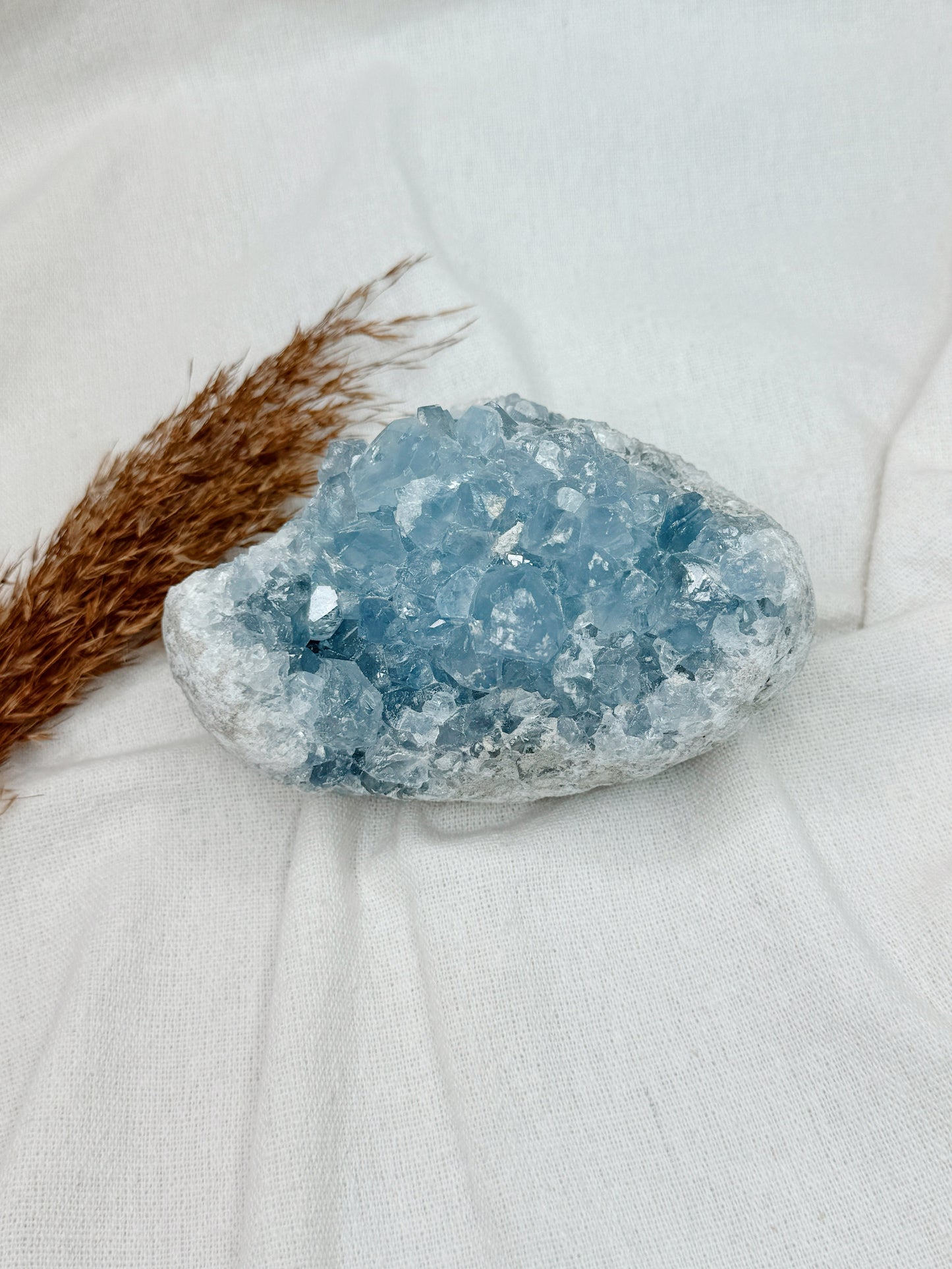 Drusa de Celestite