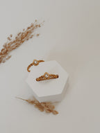 Anel gota