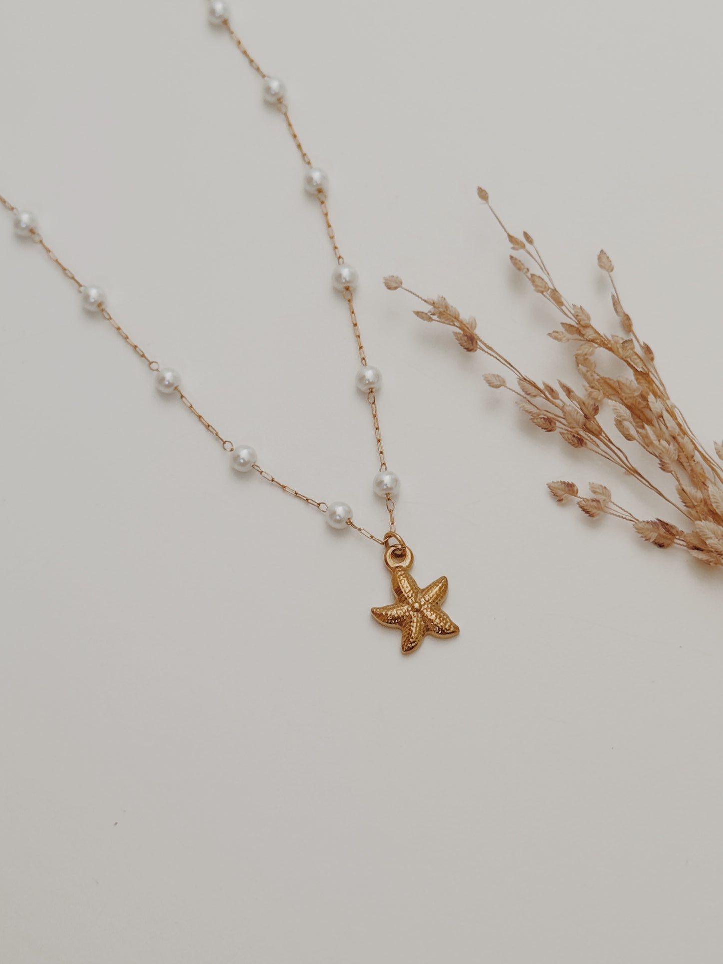 Colar Estrela do Mar