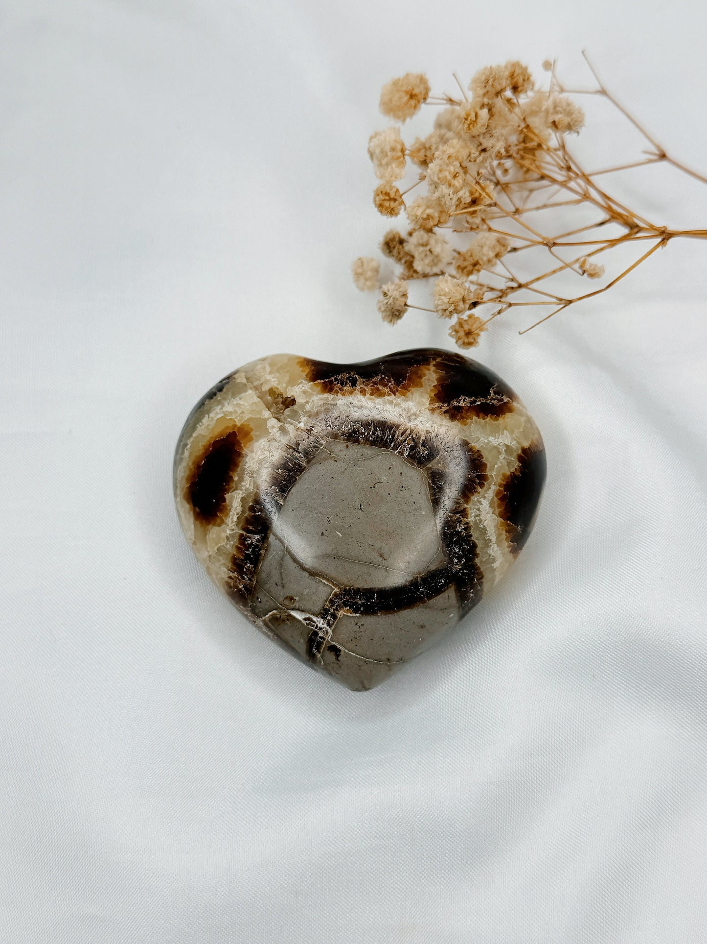 Coração Septarian Nodular II