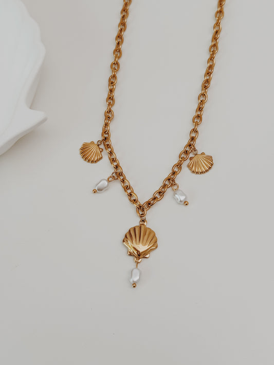 Colar Charm conchas