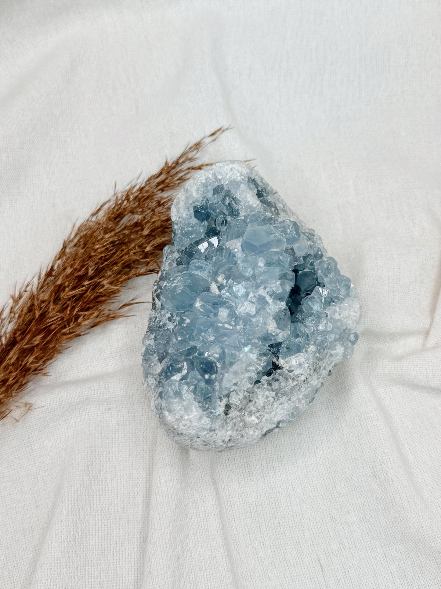 Drusa de Celestite