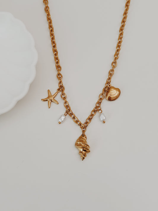 Colar Charm búzio