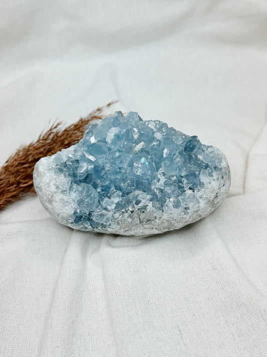 Drusa de Celestite