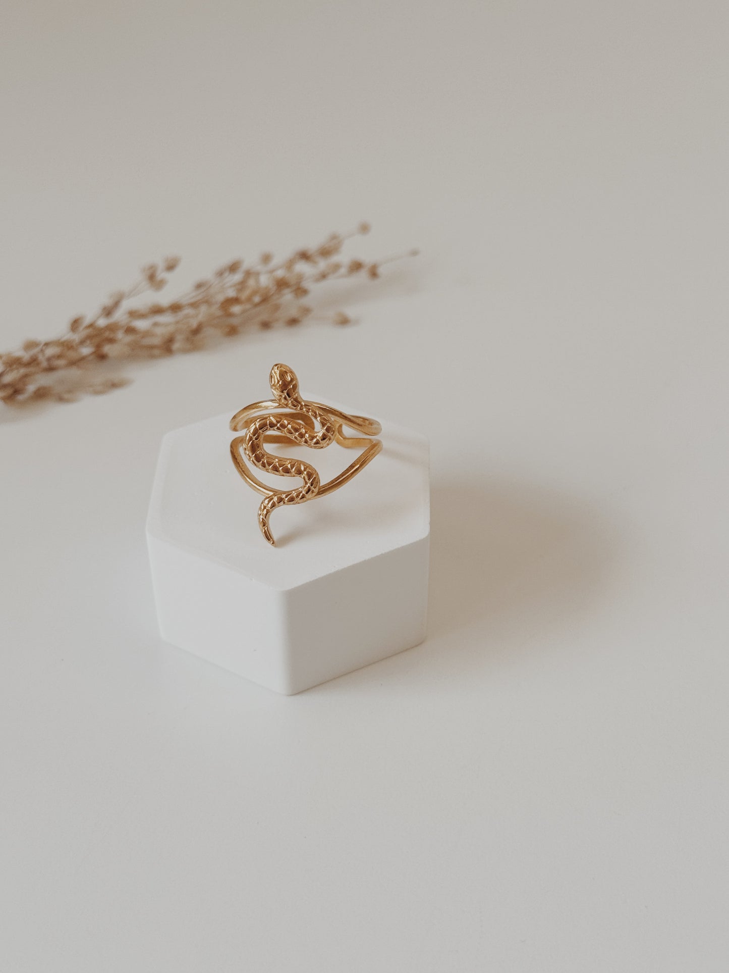 Anel Snake