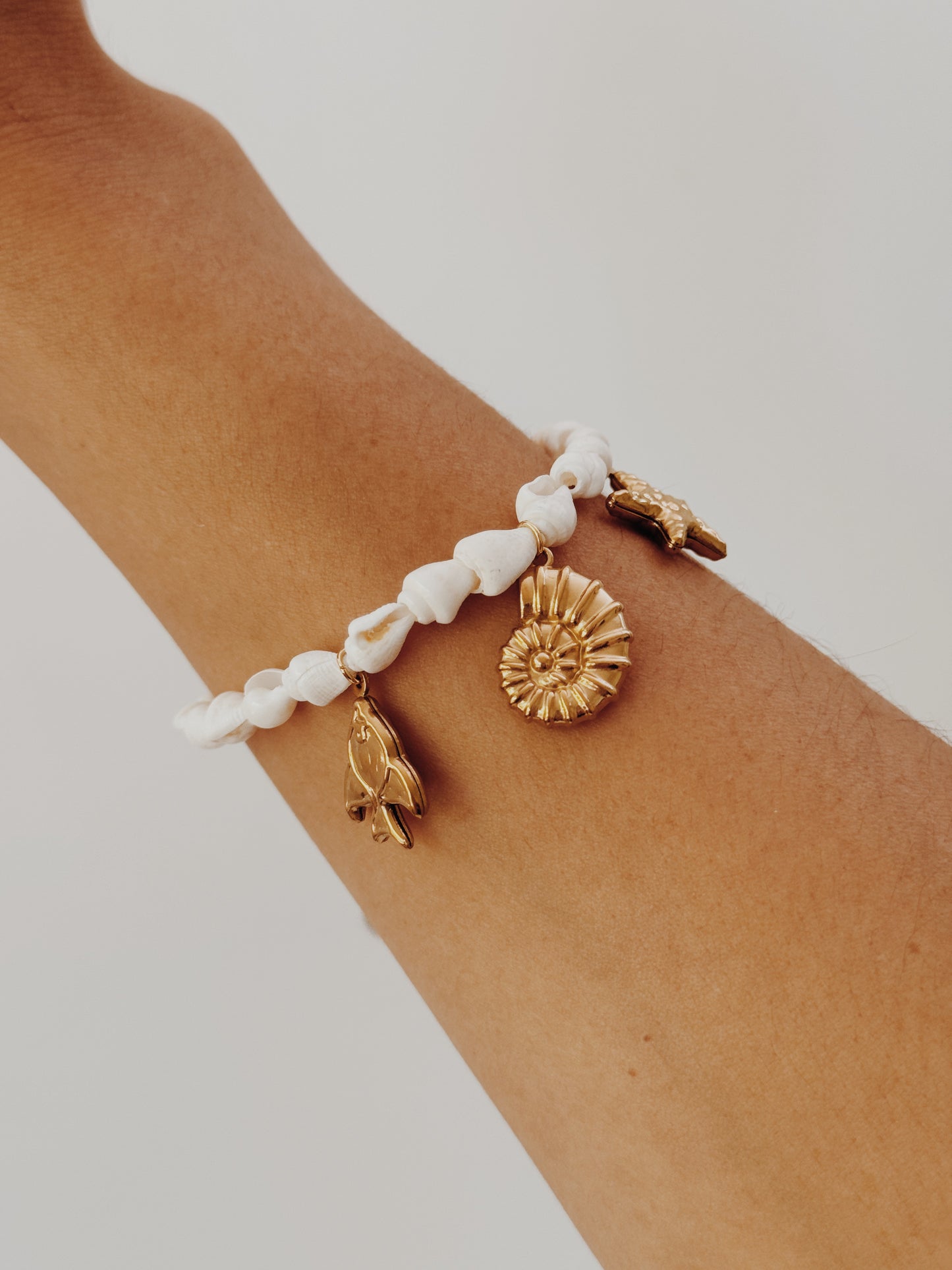 Pulseira búzios charm’s