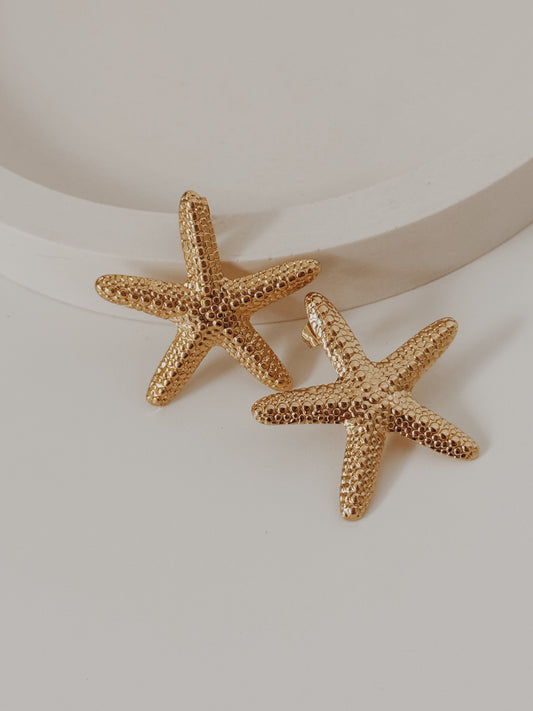 Brincos estrela do mar