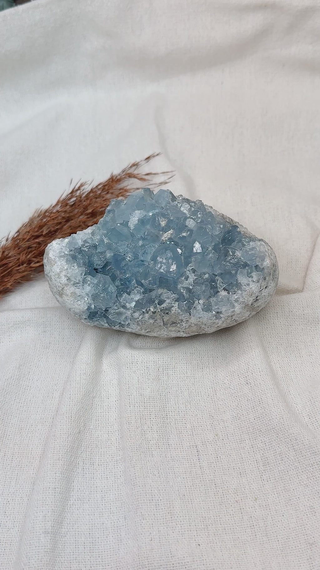 Drusa de Celestite