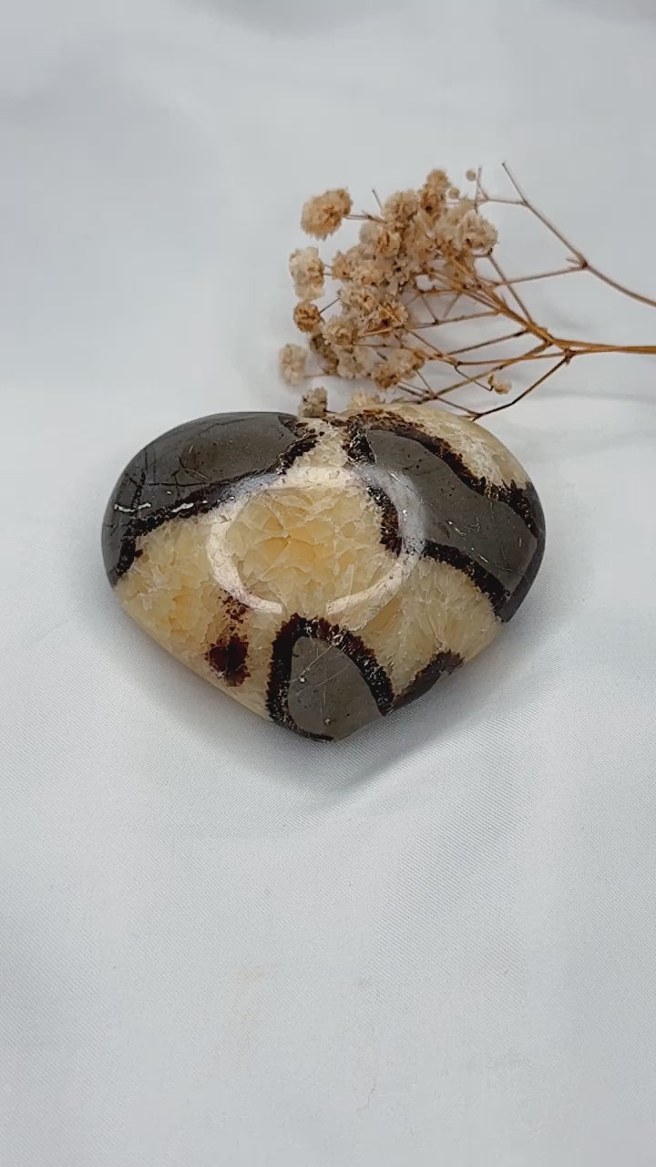 Coração de Septarian Nodular I