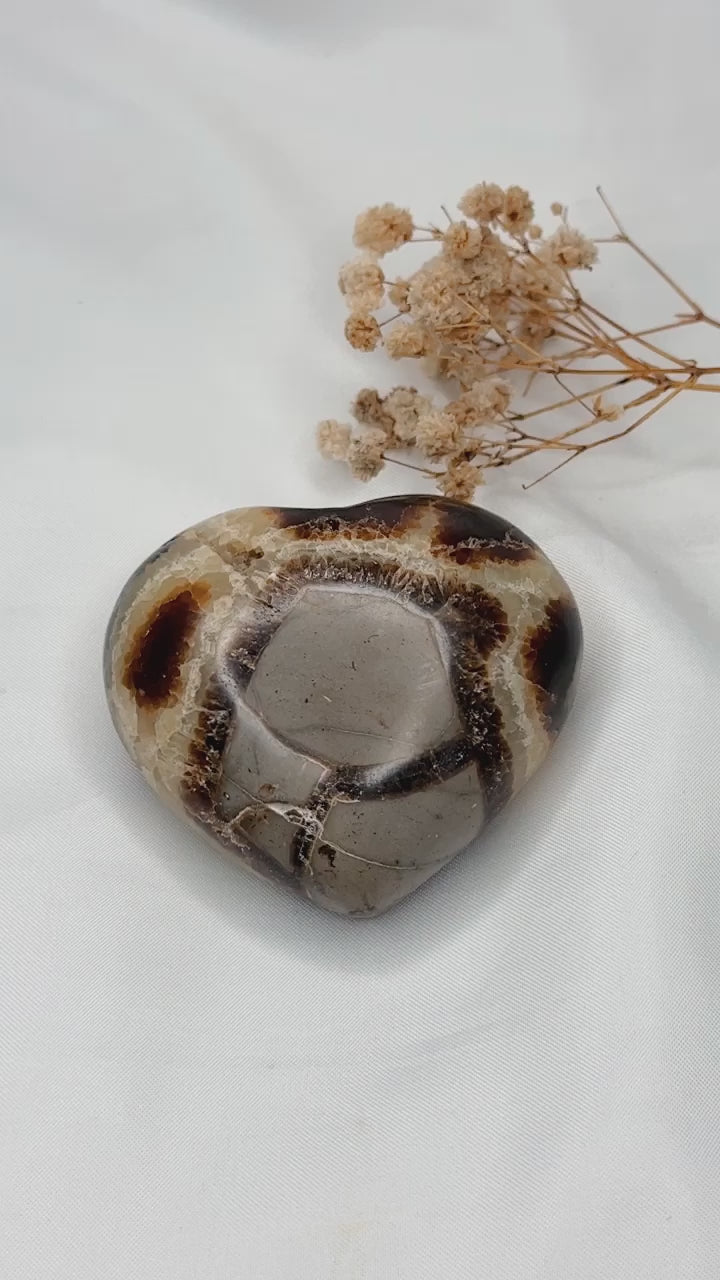 Coração Septarian Nodular II